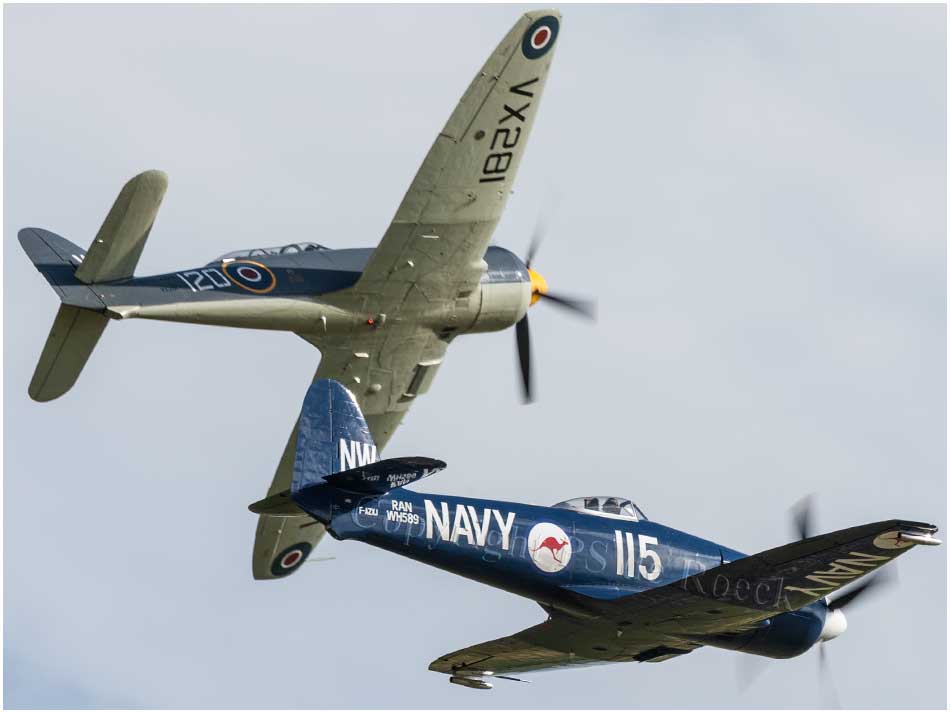 Hawker Sea Fury FB10